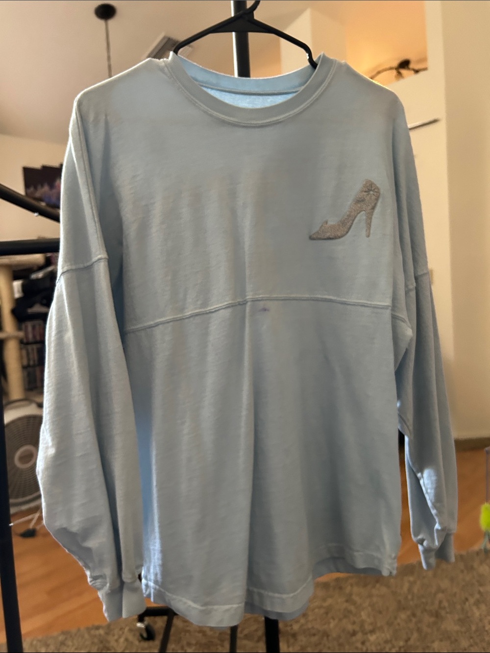 Disney World Cinderella Spirit Jersey